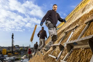 Drie arbeiders die een dak aan het rieten zijn, staande op ladders die aan het steile oppervlak zijn bevestigd. Eén arbeider op de voorgrond houdt een bundel stro vast, terwijl de andere twee tegelijkertijd werken. De heldere lucht met enkele wolken versterkt het tafereel en voegt diepte toe aan dit voorbeeld van bedrijfsfotografie met zichtbare gebouwen in de verte.